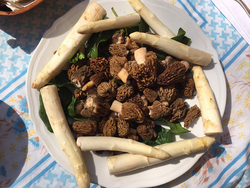 Pilze und Spargel Pilze und Spargel