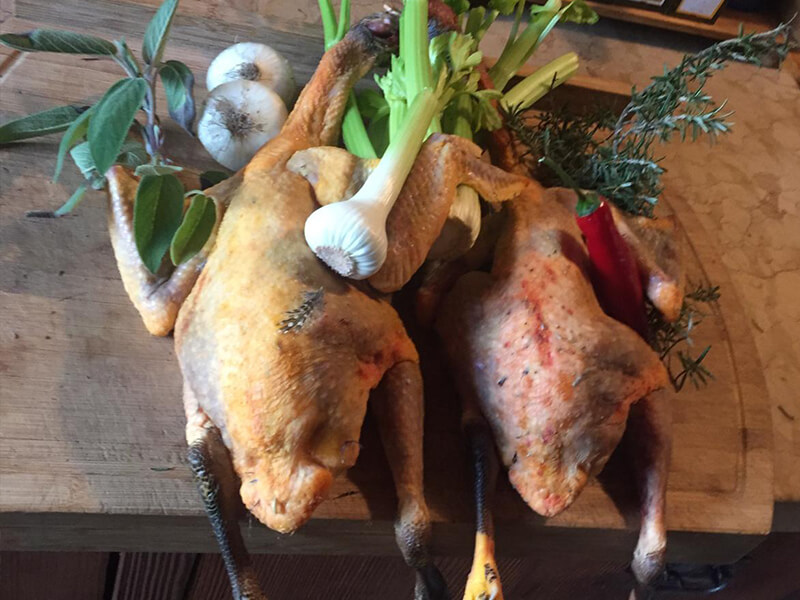 Frische Gänse mit Kräutern Frische Gänse mit Kräutern